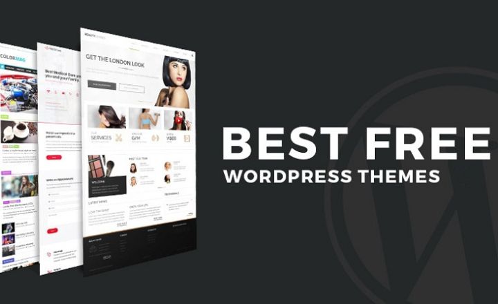 Best Free WordPress Themes